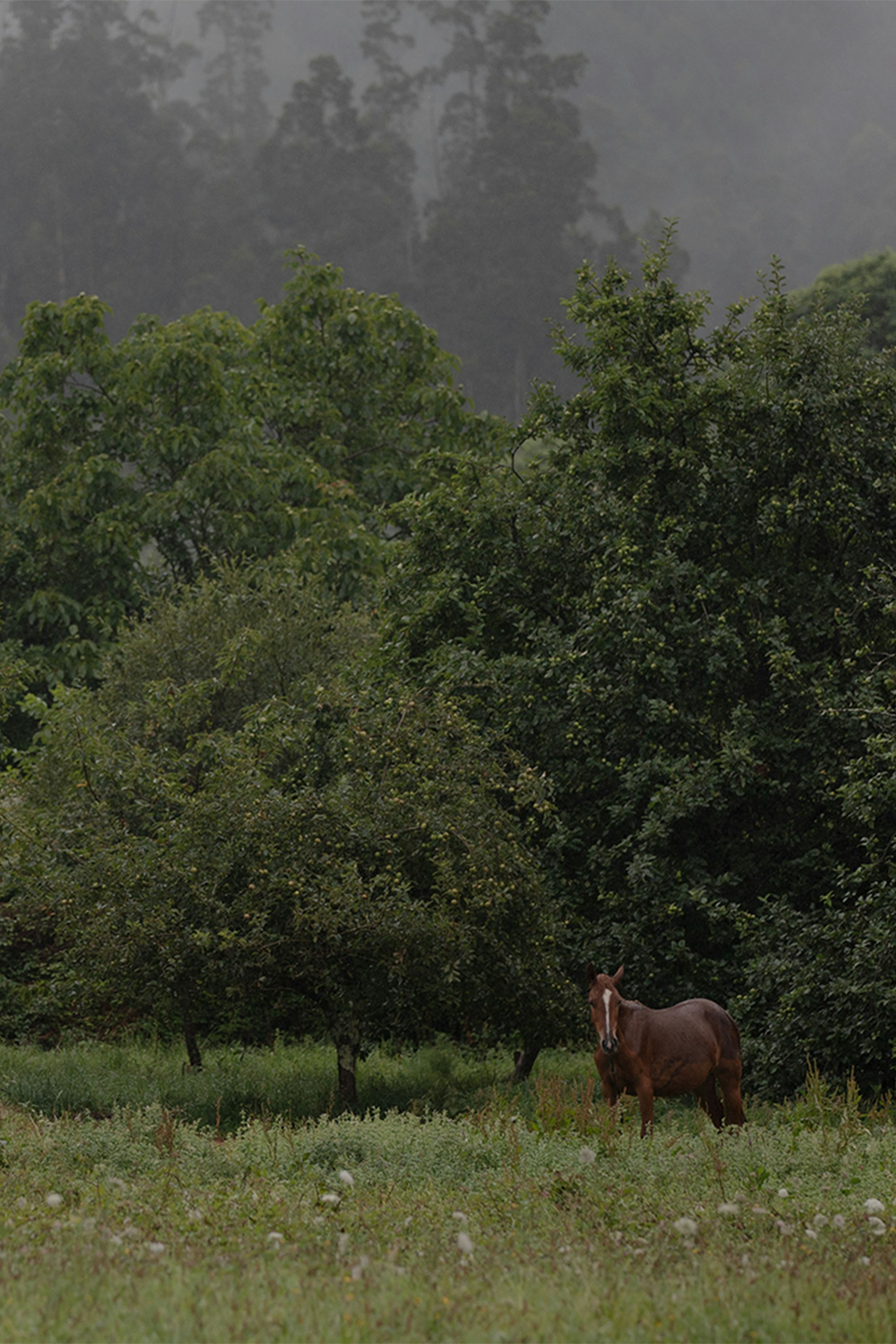 The-Ultimate-Guide-to-Skincare