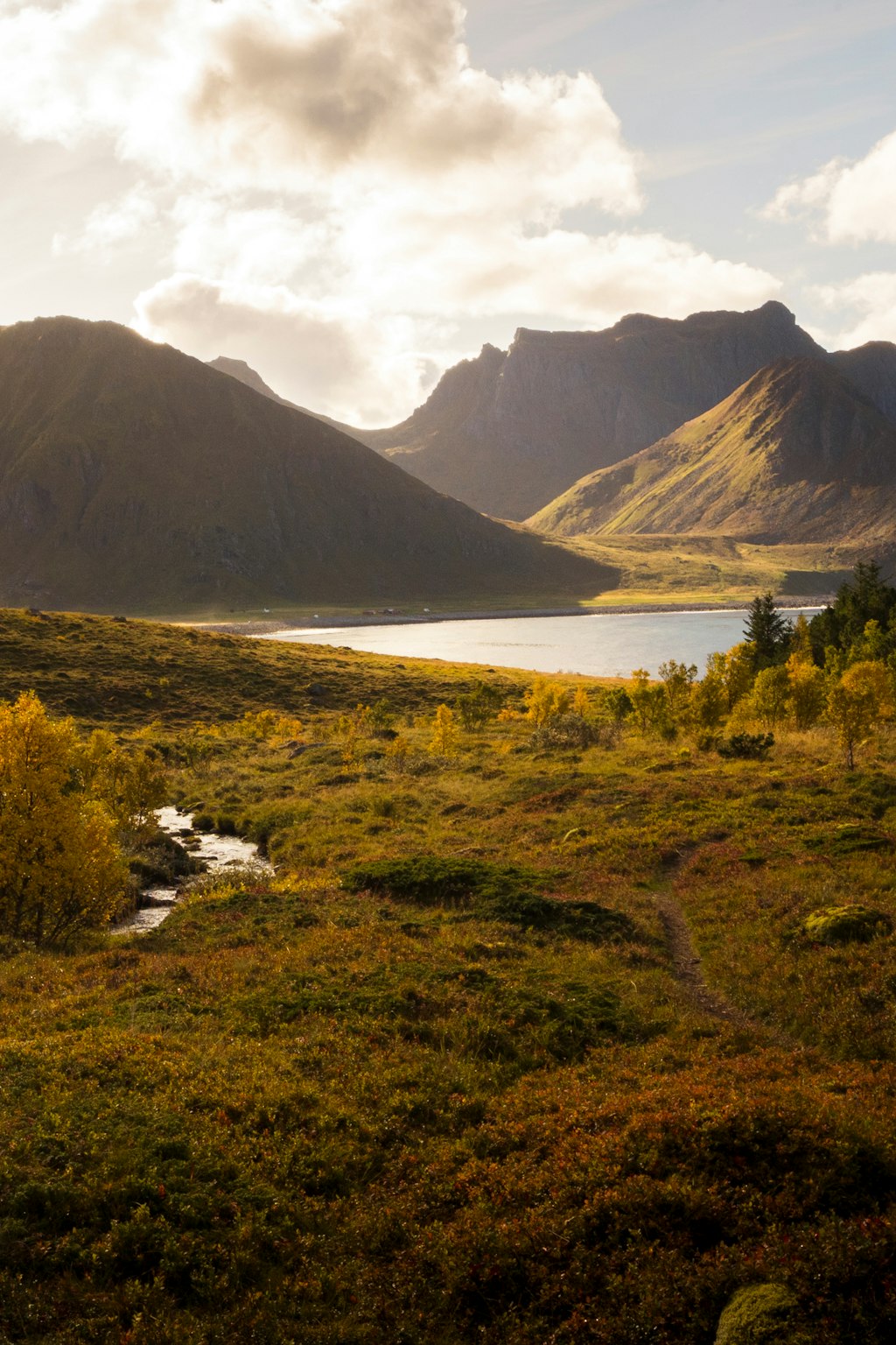 Skin Recovery: Your Guide to a Brighter Fall