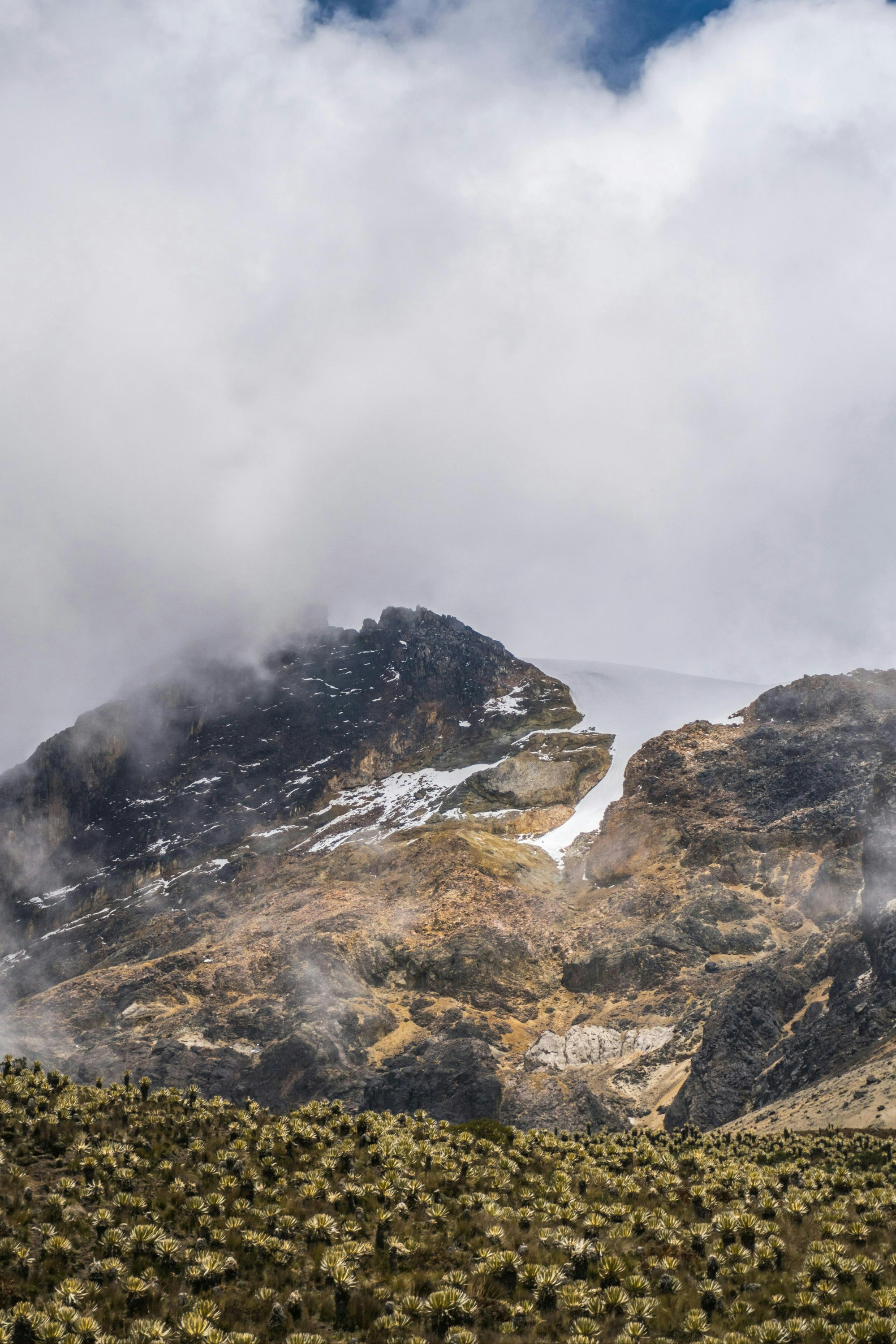 Verso-Transition-Skincare-Journal