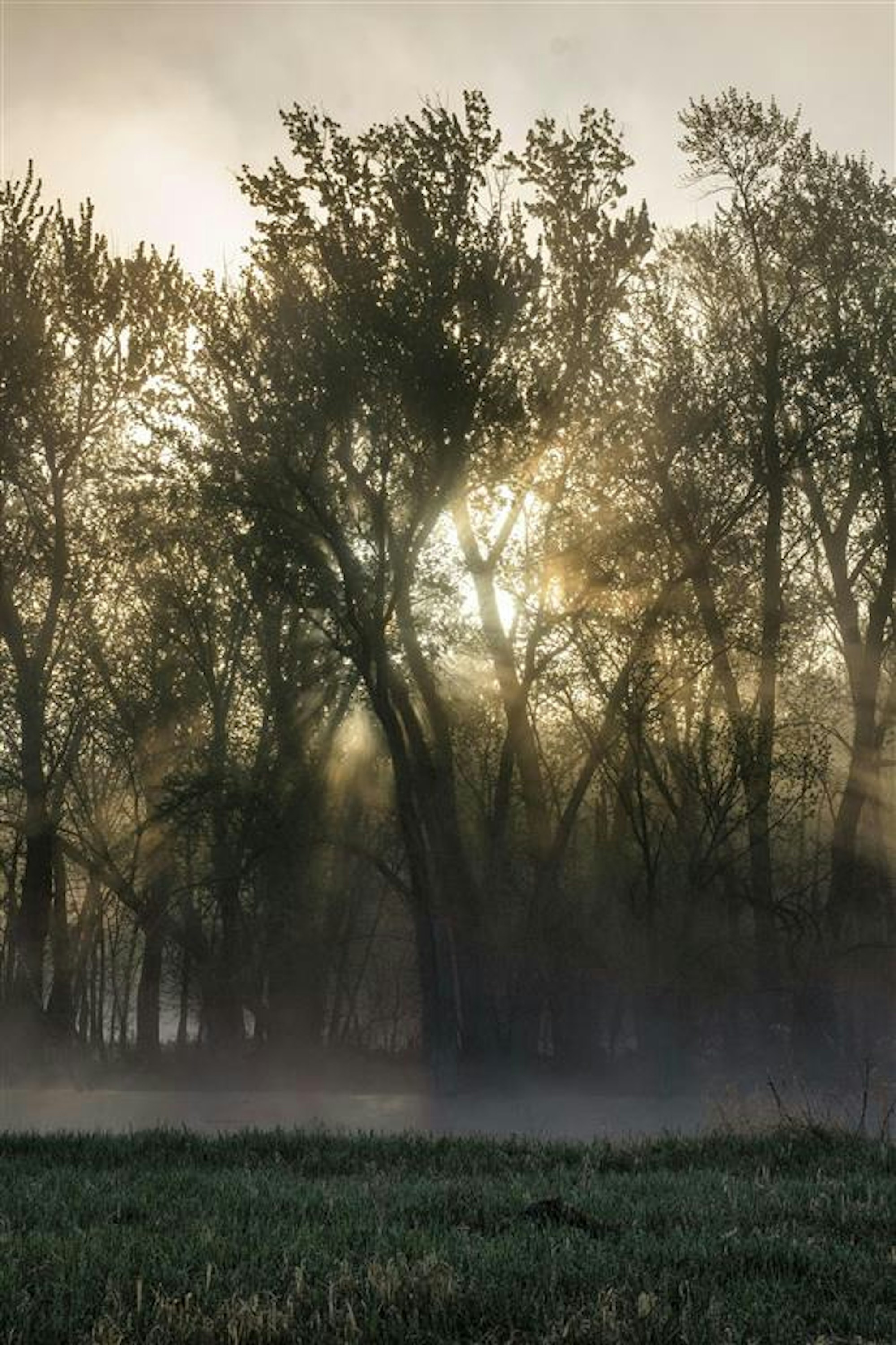 Verso-transition-Skincare